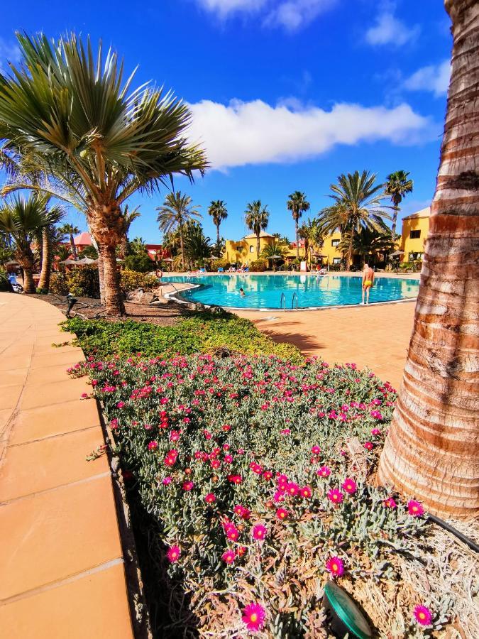 Appartamento Spagnolo Oasis Tamarindo コラレホ エクステリア 写真