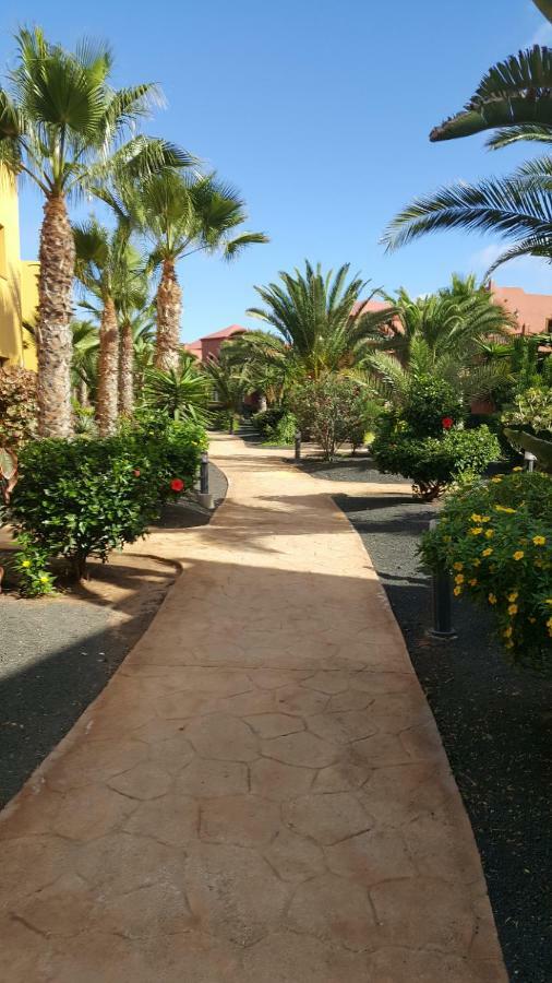 Appartamento Spagnolo Oasis Tamarindo コラレホ エクステリア 写真