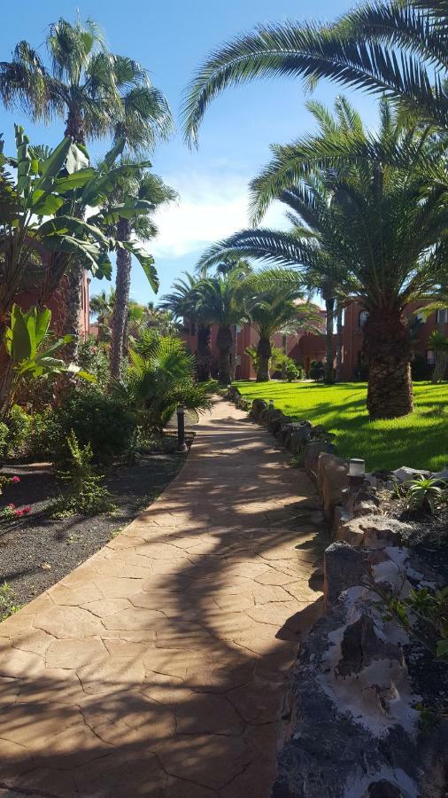 Appartamento Spagnolo Oasis Tamarindo コラレホ エクステリア 写真