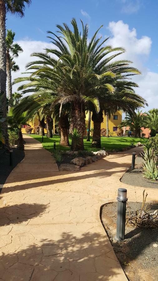 Appartamento Spagnolo Oasis Tamarindo コラレホ エクステリア 写真