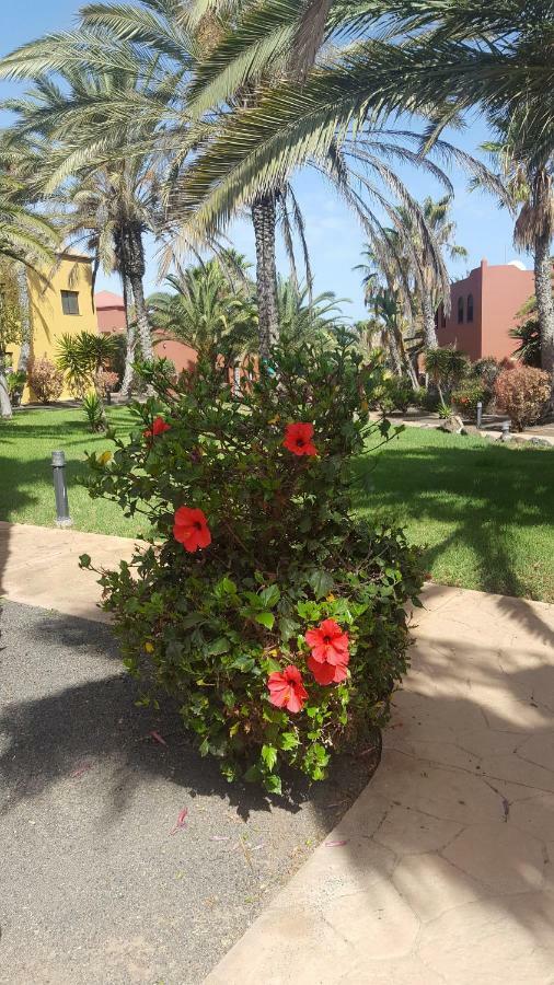 Appartamento Spagnolo Oasis Tamarindo コラレホ エクステリア 写真